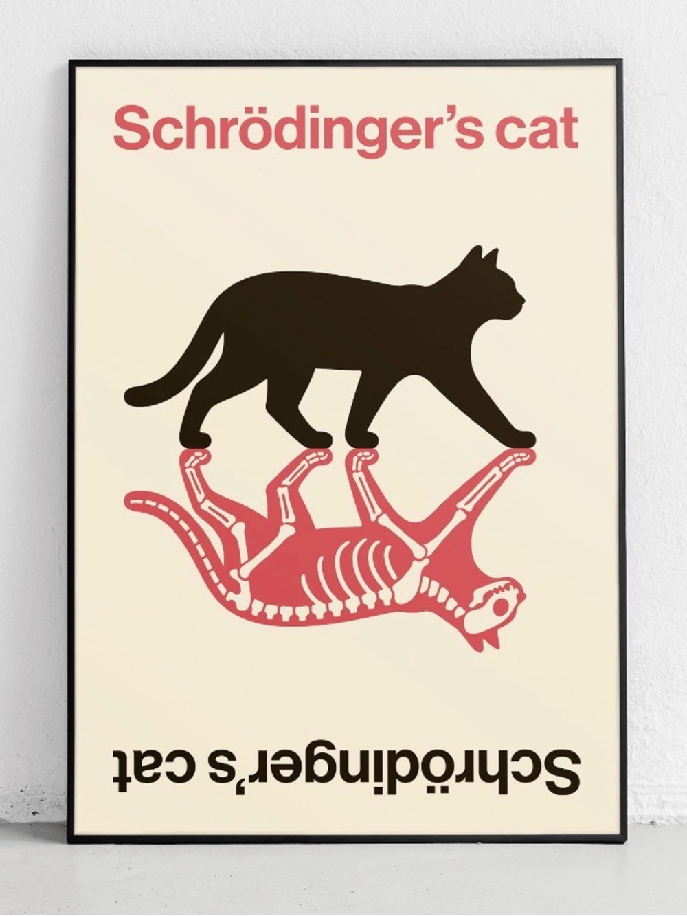 Schrödinger’s Cat, A Minimalist Take on Quantum Curiosity